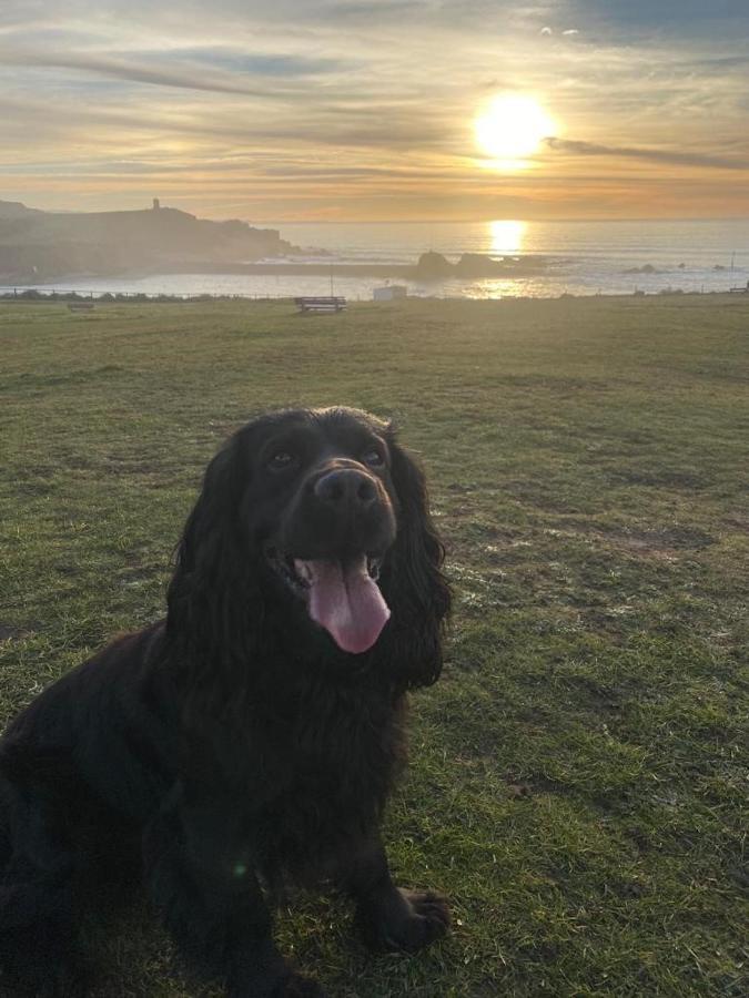 Pentire Coastal Holiday Park Bude Buitenkant foto