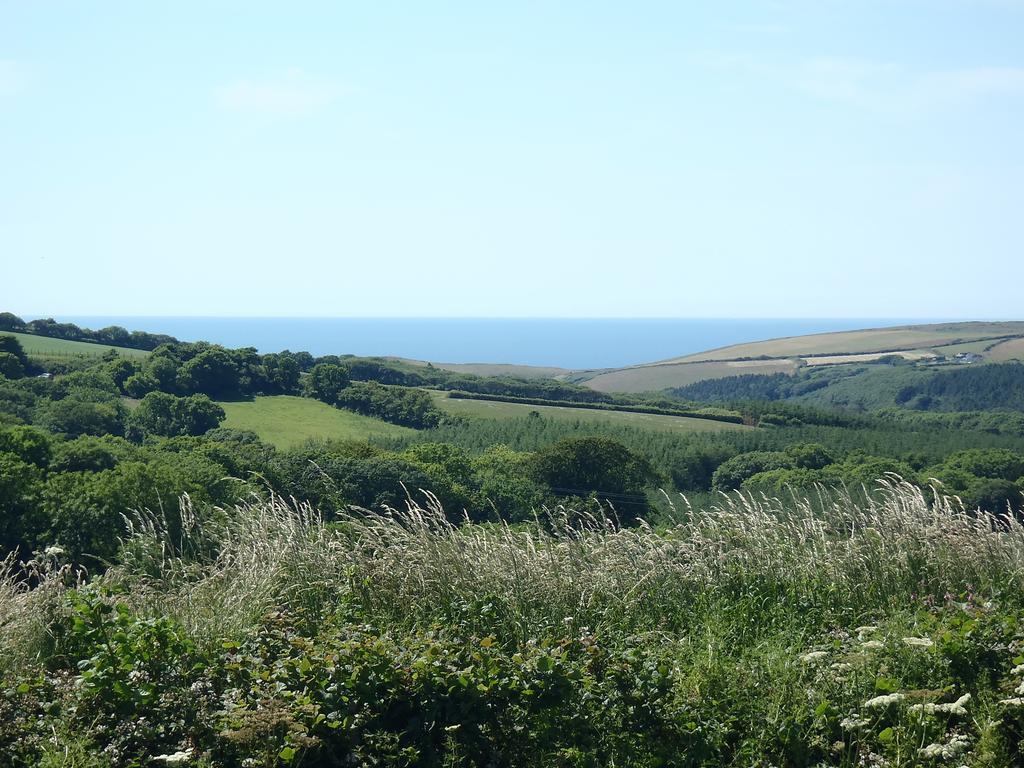Pentire Coastal Holiday Park Bude Buitenkant foto
